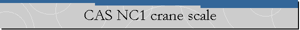 CAS NC1 crane scale