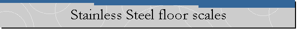 Stainless Steel floor scales