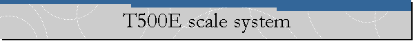T500E scale system